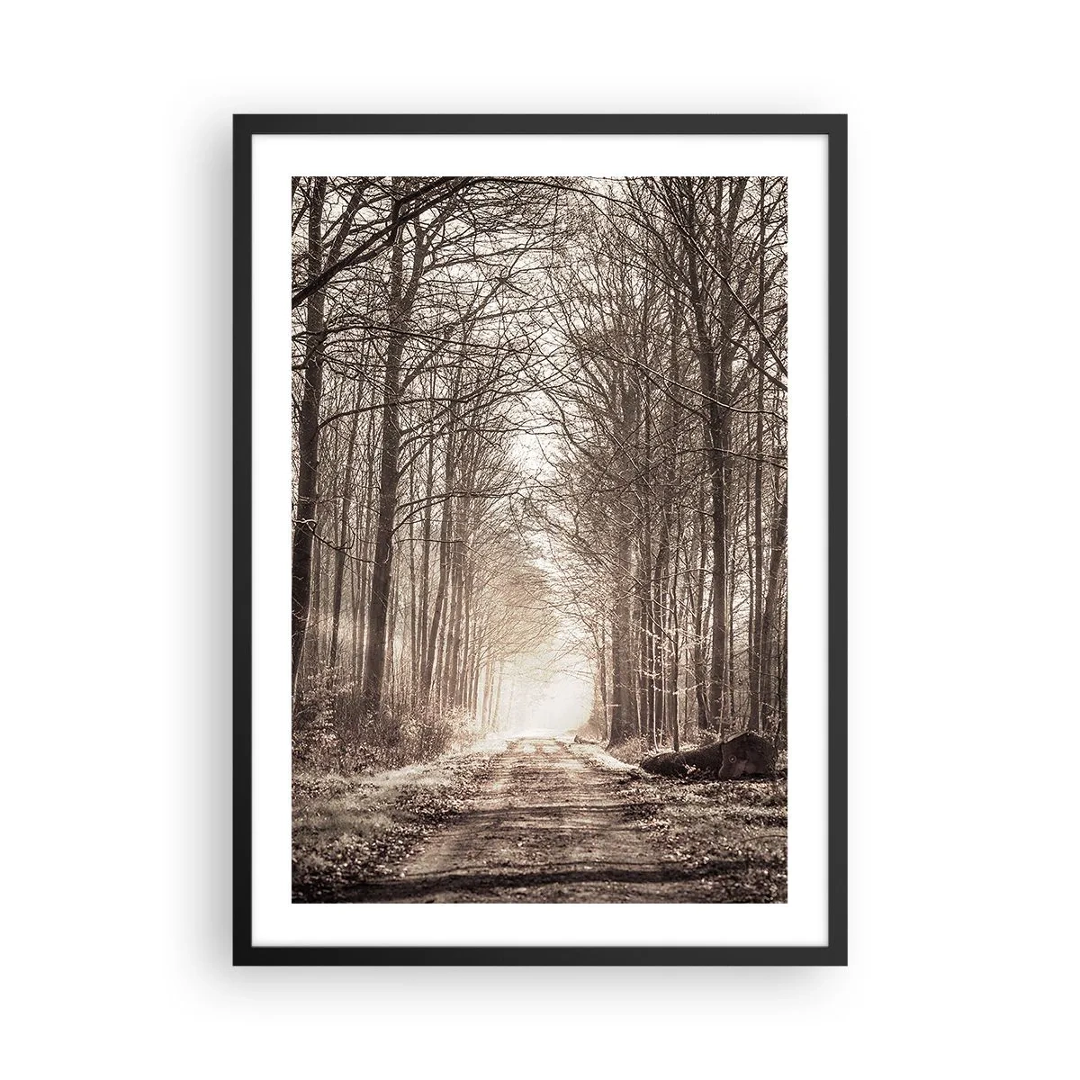 Poster in een zwarte lijst - Een bospad in herfstige sepiatinten - 50x70cm - Boskathedraal - Moderne wanddecoratie voor woonkamer en slaapkamer ARTTOR