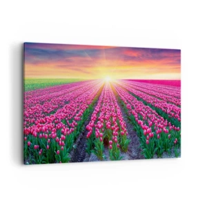 Schilderen op canvas - Beautyfarm - 100x70 cm