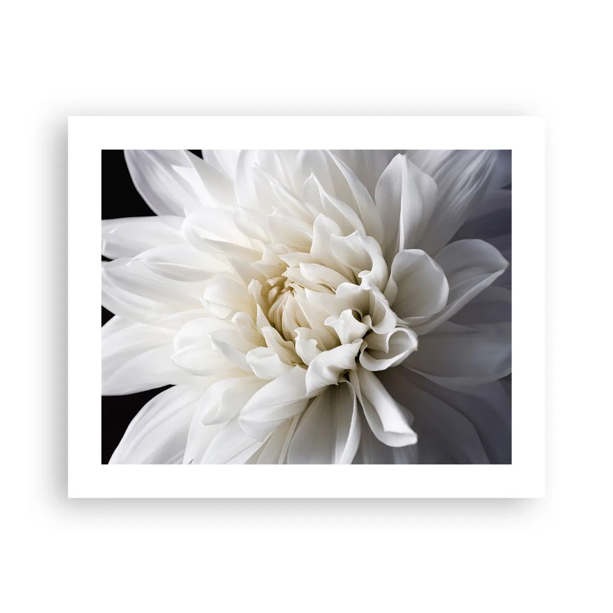 Poster - Ochtend van de bruid - 50x40 cm