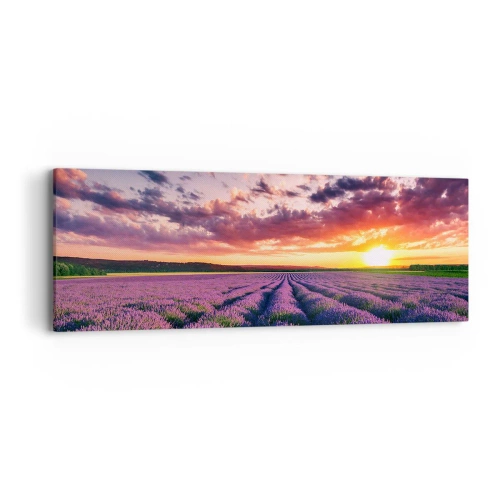 Schilderen op canvas - Lavendel wereld - 90x30 cm