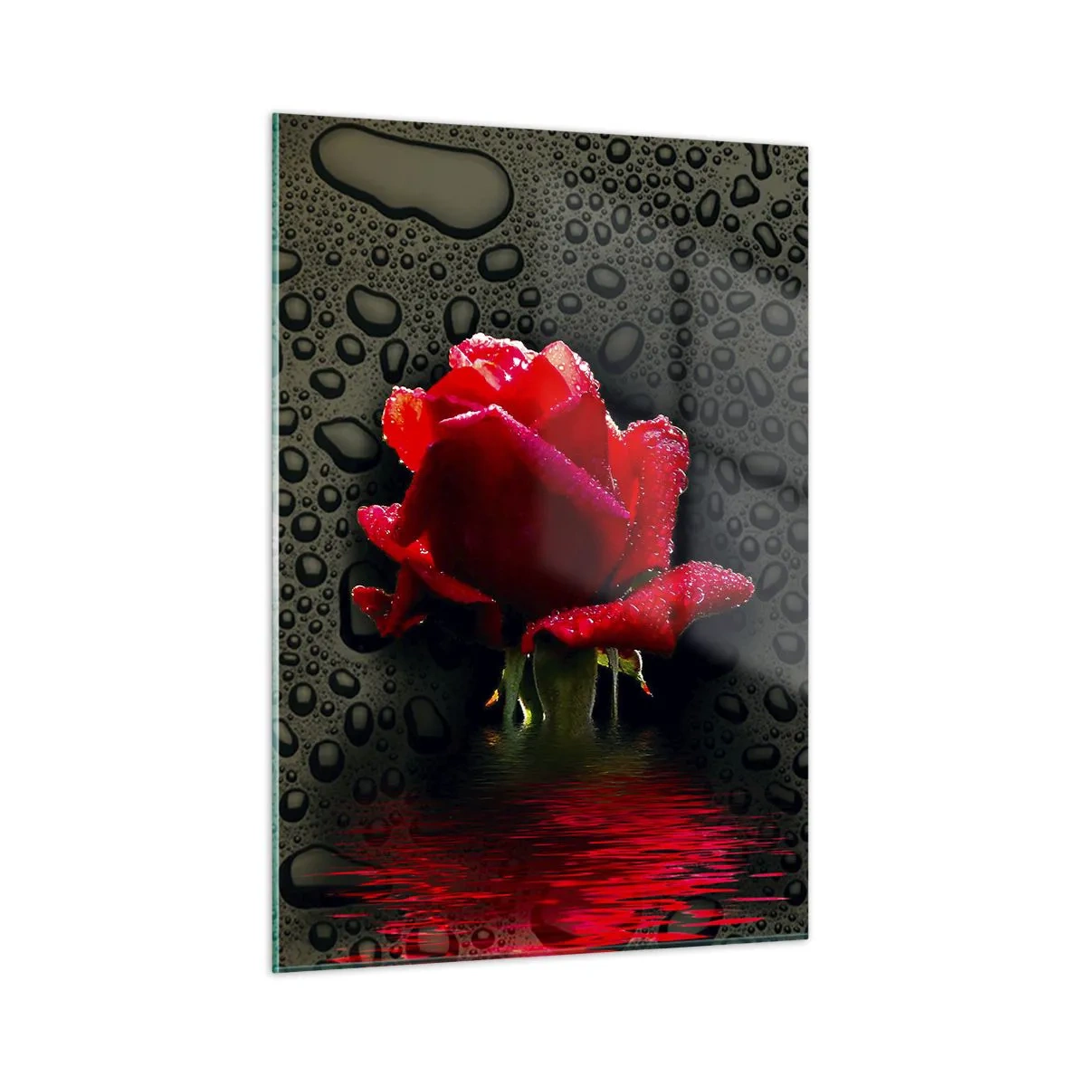 Schilderen op glas - Rood en zwart - 50x70 cm