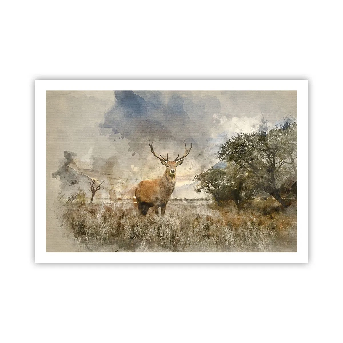 Poster - Waardigheid - kracht - waardigheid - 91x61 cm