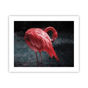 Poster - Een karmozijnrood gedicht van de natuur - 50x40 cm