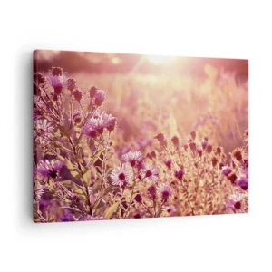 Schilderen op canvas - Weide in het licht van de ondergaande zon - 70x50cm - Voordat de zomer voorbij is - Moderne wanddecoratie voor woonkamer en slaapkamer ARTTOR