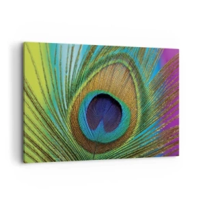 Schilderen op canvas - Oog in oog - 100x70 cm