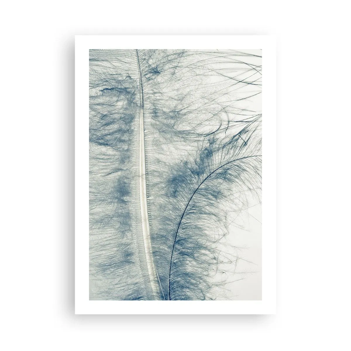 Poster - Het gefluister van de natuur - 50x70 cm