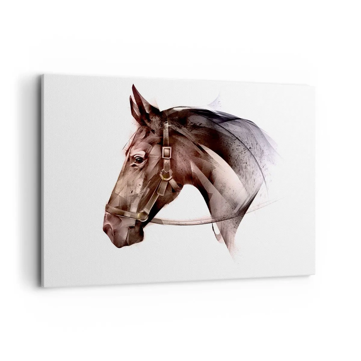 Schilderen op canvas - Wat een charme - 100x70 cm