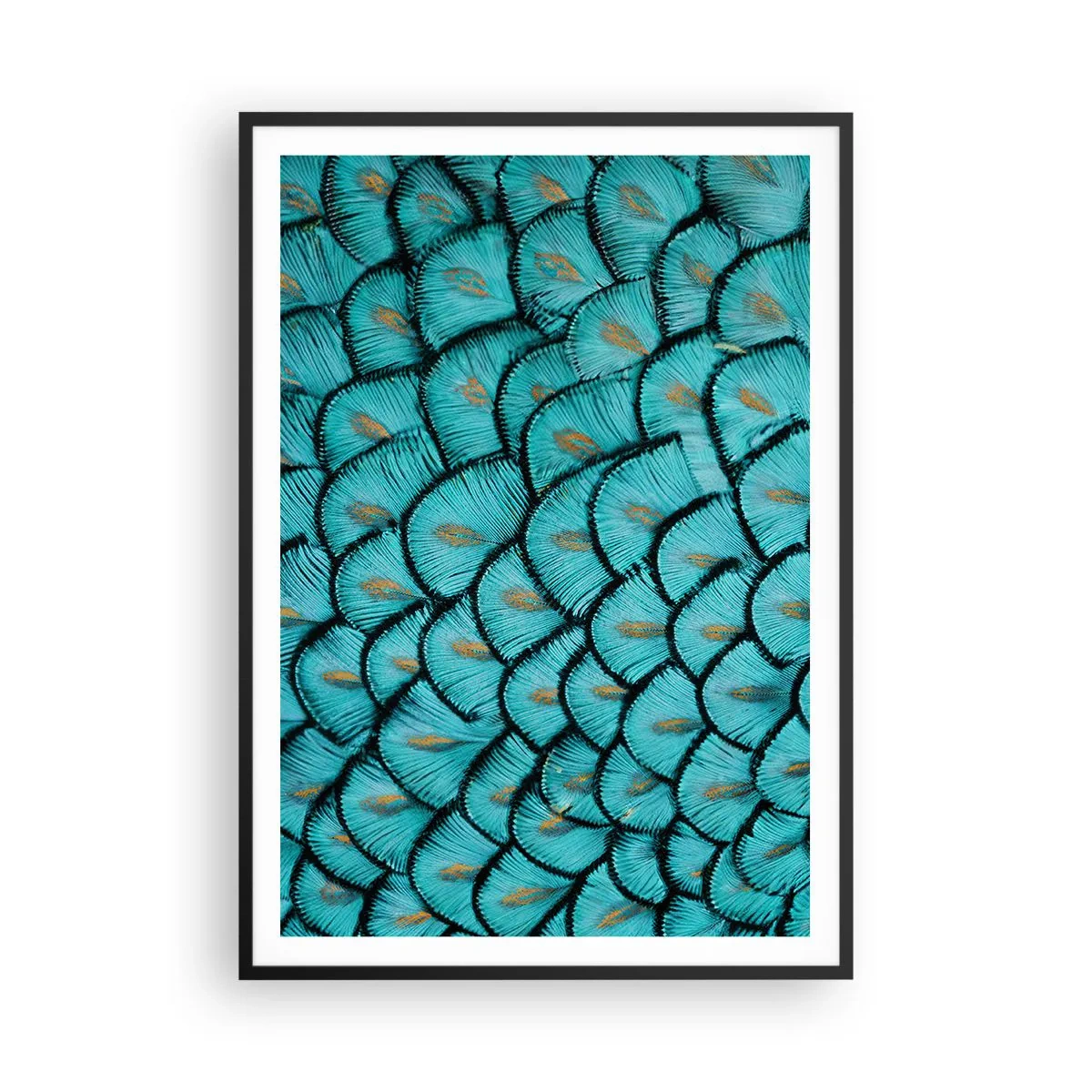 Poster in een zwarte lijst - Het grote verengala - 70x100 cm