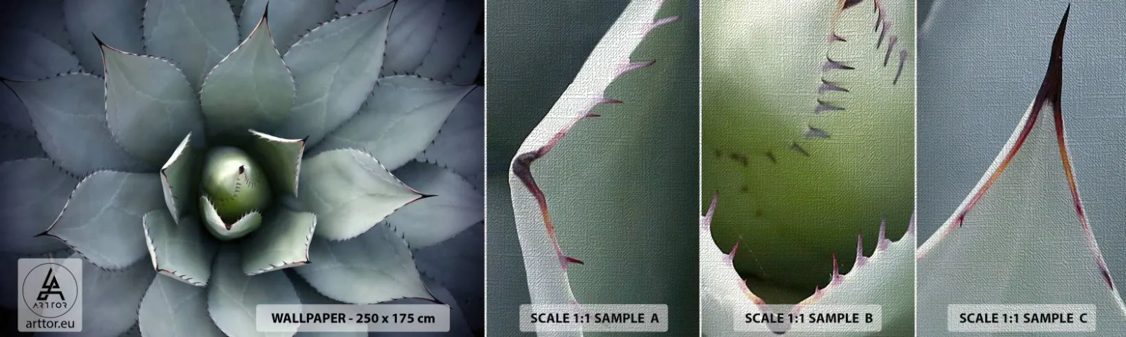 Fotobehang Monster Premium Canvas - Het trekt aan en waarschuwt - Agave bloem, Agave, Exotisme - 100x30 cm