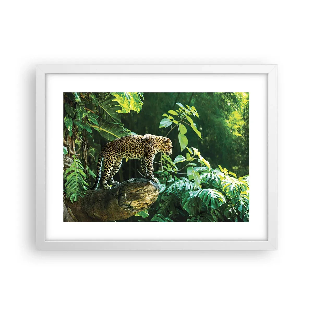 Poster in een witte lijst - Op jacht? - 40x30 cm