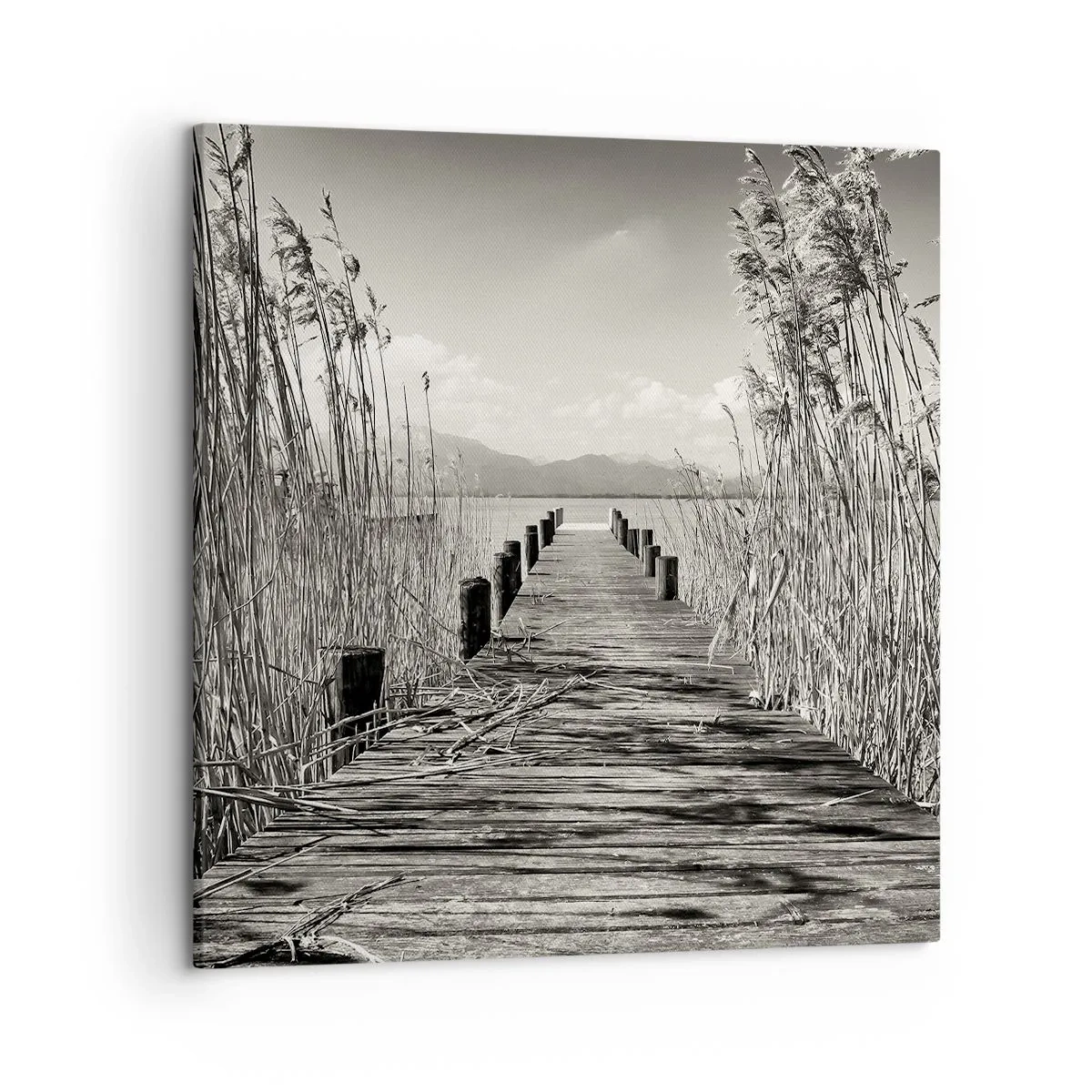 Schilderen op canvas - In de stilte van het gras - 50x50 cm