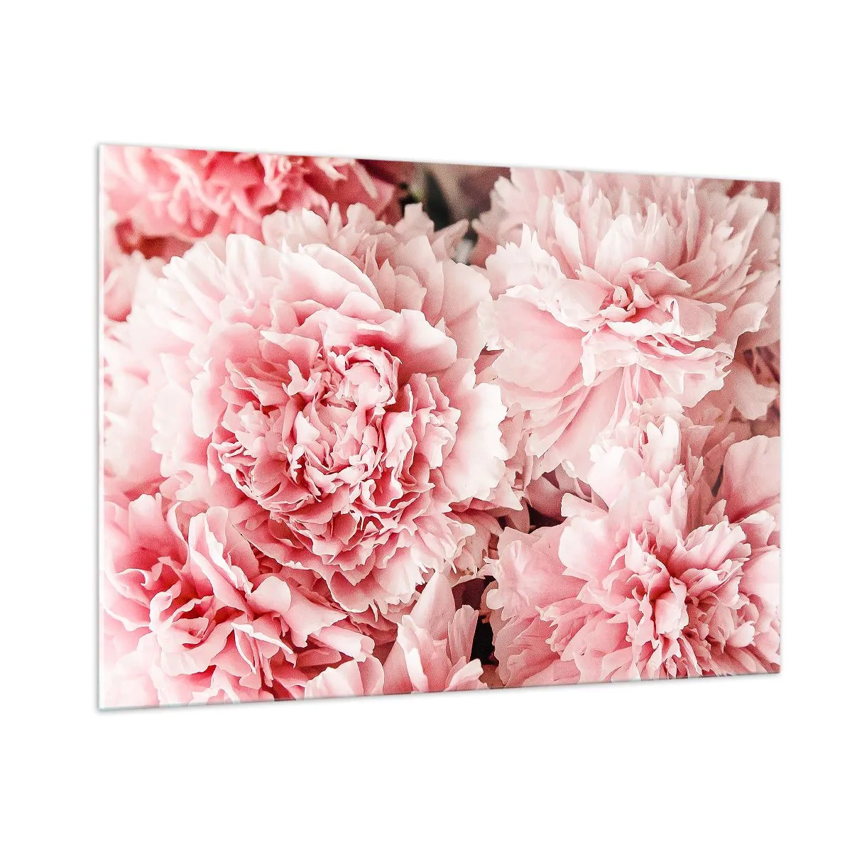 Schilderen op glas - Roze droom - 100x70 cm