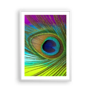 Poster in een witte lijst - Oog in oog - 50x70 cm