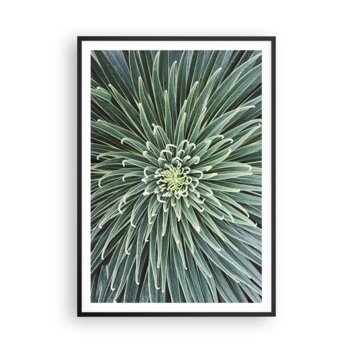 Poster in een zwarte lijst - Een ster is geboren - 70x100 cm