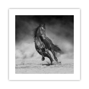 Poster - De emir zelf waardig - 40x40 cm