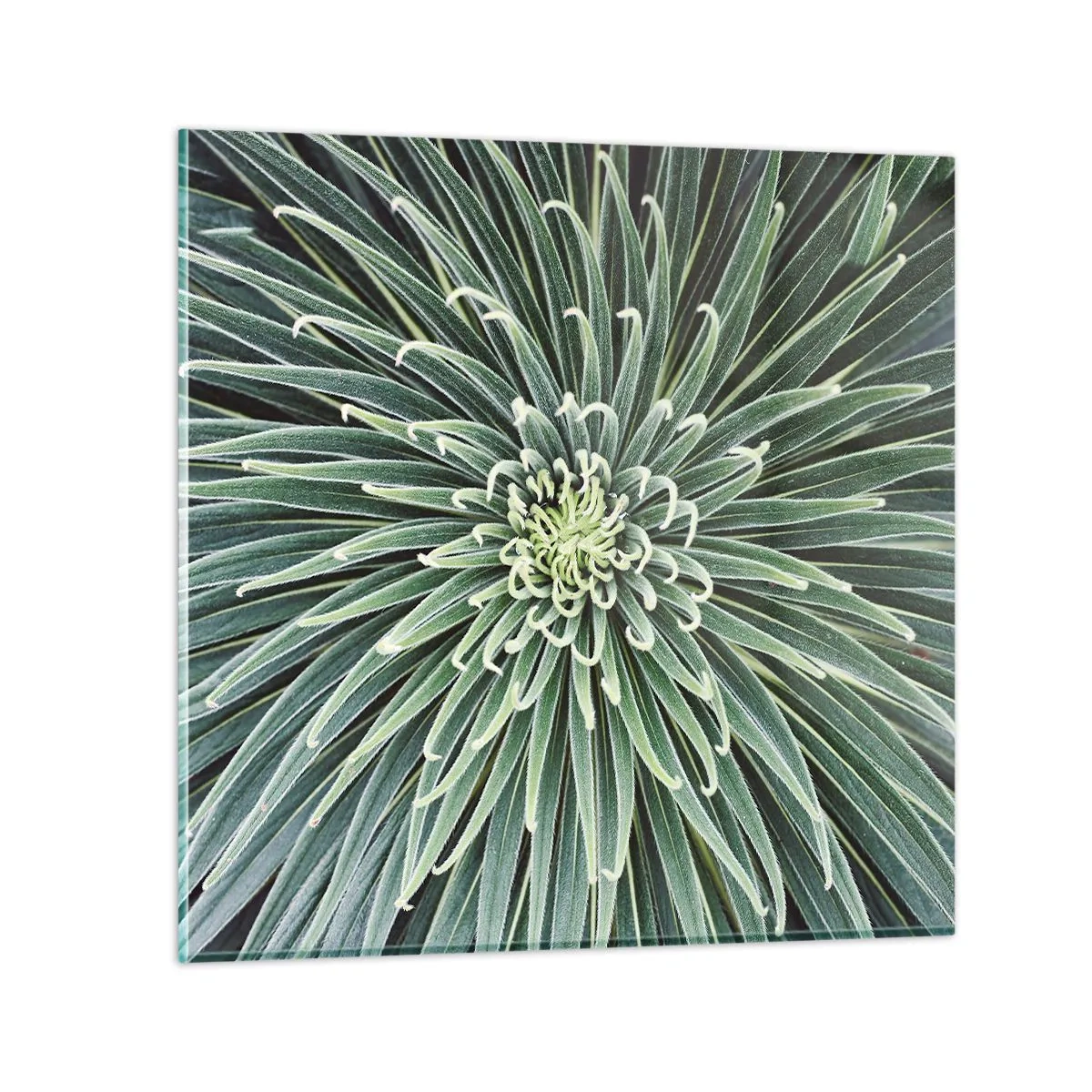 Schilderen op glas - Een ster is geboren - 70x70 cm