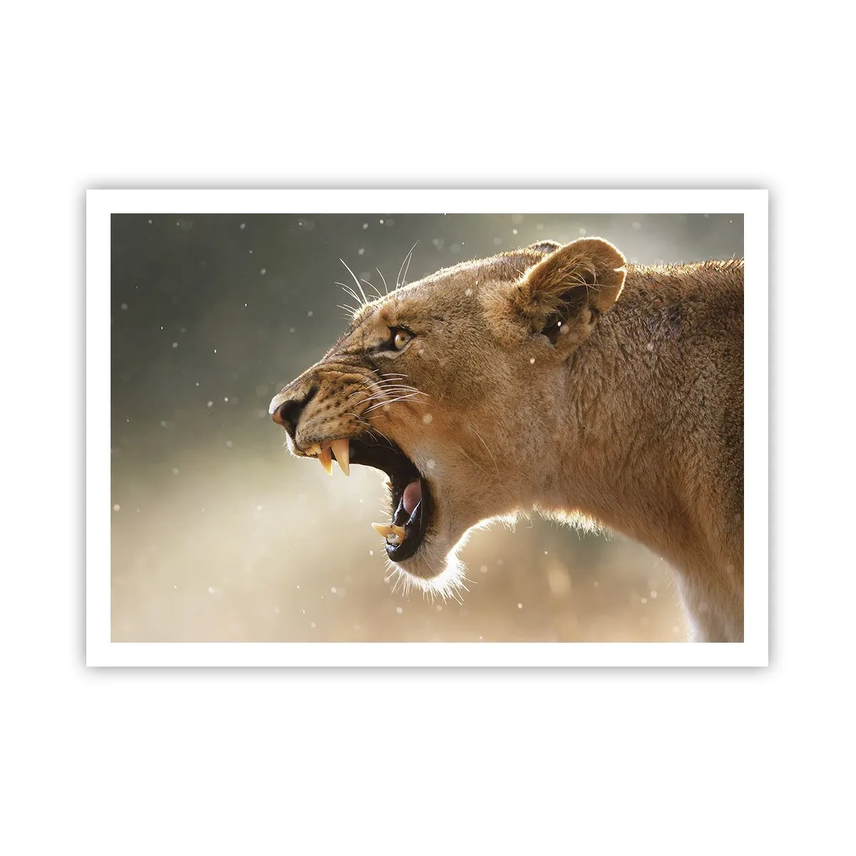 Poster - Probeer niet te luisteren - 100x70 cm