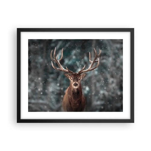 Poster in een zwarte lijst - Gekroond tot koning van het bos - 50x40 cm