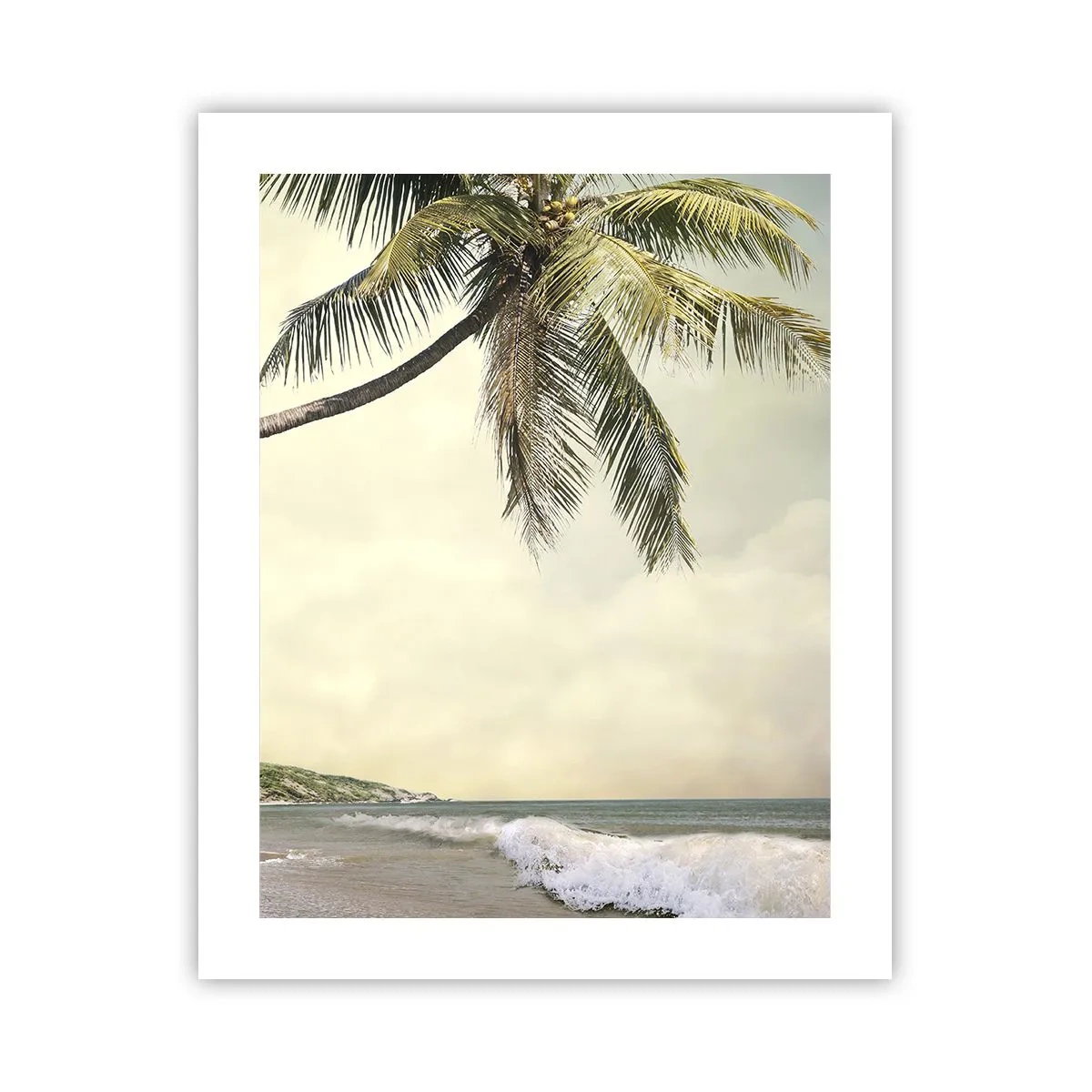 Poster - Tropische droom - 40x50 cm