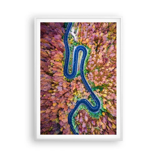 Poster in een witte lijst - Een kronkelende weg door het bos - 70x100 cm