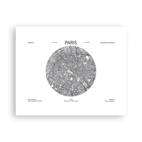 Poster - Anatomie van Parijs - 50x40 cm