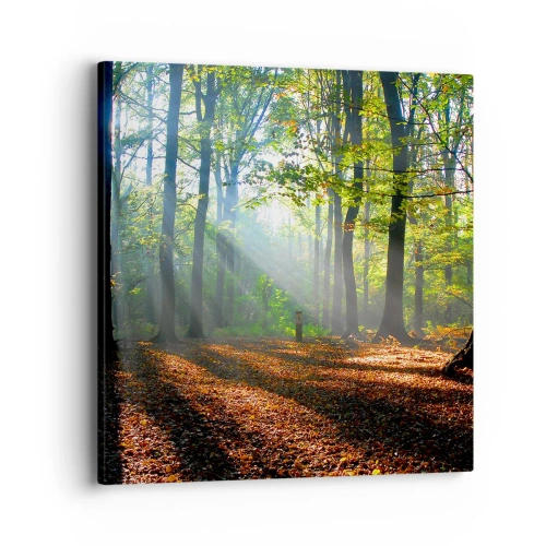 Schilderen op canvas - Lichten en schaduwen - 40x40 cm