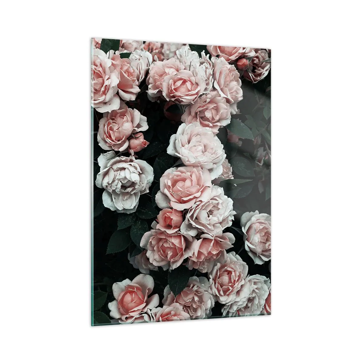 Schilderen op glas - Rozen ensemble - 50x70 cm