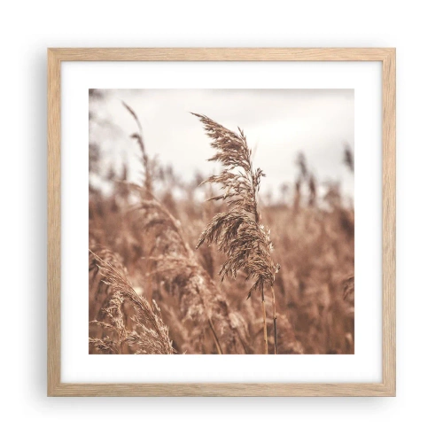 Een poster in een licht eiken lijst - Het is al herfst in de velden - 40x40 cm