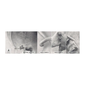 Fotobehang Staaltje Standard Eco - Onthul het mysterie - Abstractie, Olifant, Grafisch - 100x30 cm