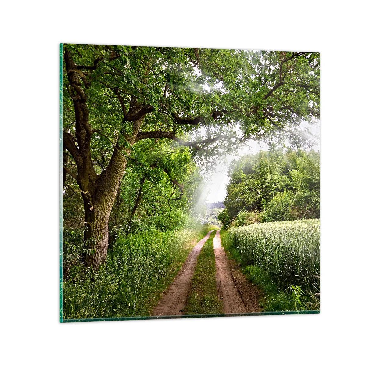 Schilderen op glas - Et in Arcadia ego - 60x60 cm