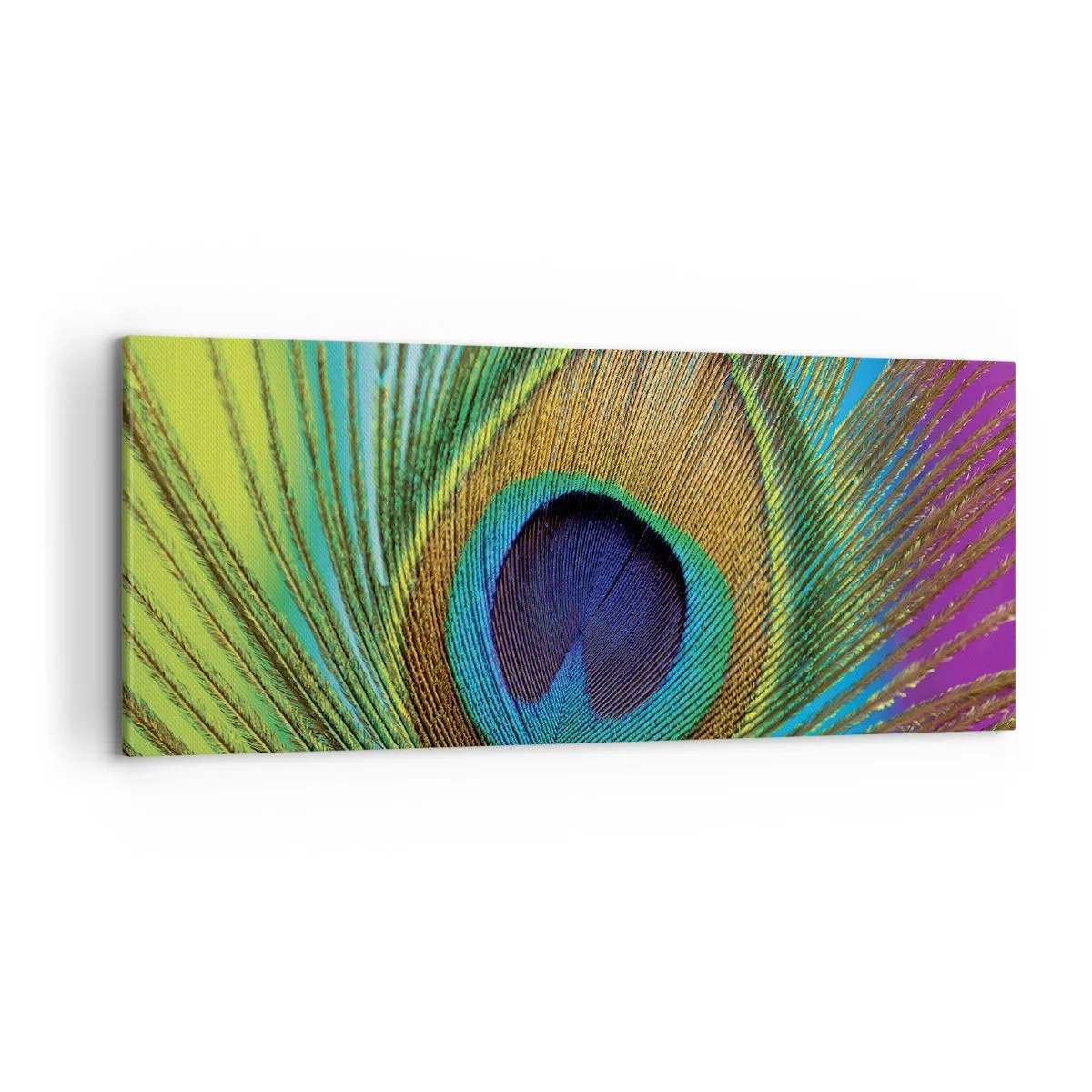 Schilderen op canvas - Oog in oog - 100x40 cm