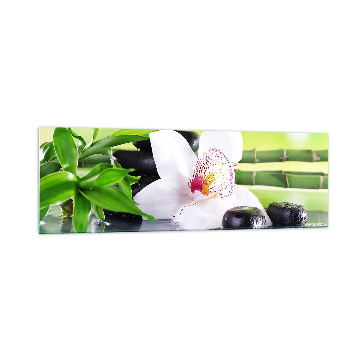 Schilderen op glas - Koele frisheid - 160x50 cm