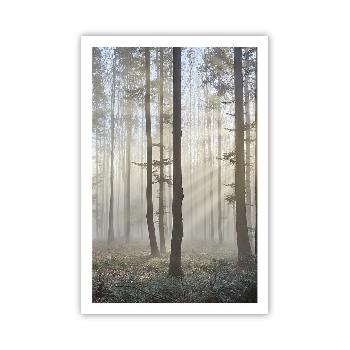 Poster - De mist werd ook wakker - 61x91 cm