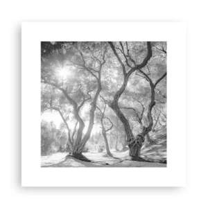 Poster - In de olijfboomgaard - 30x30 cm