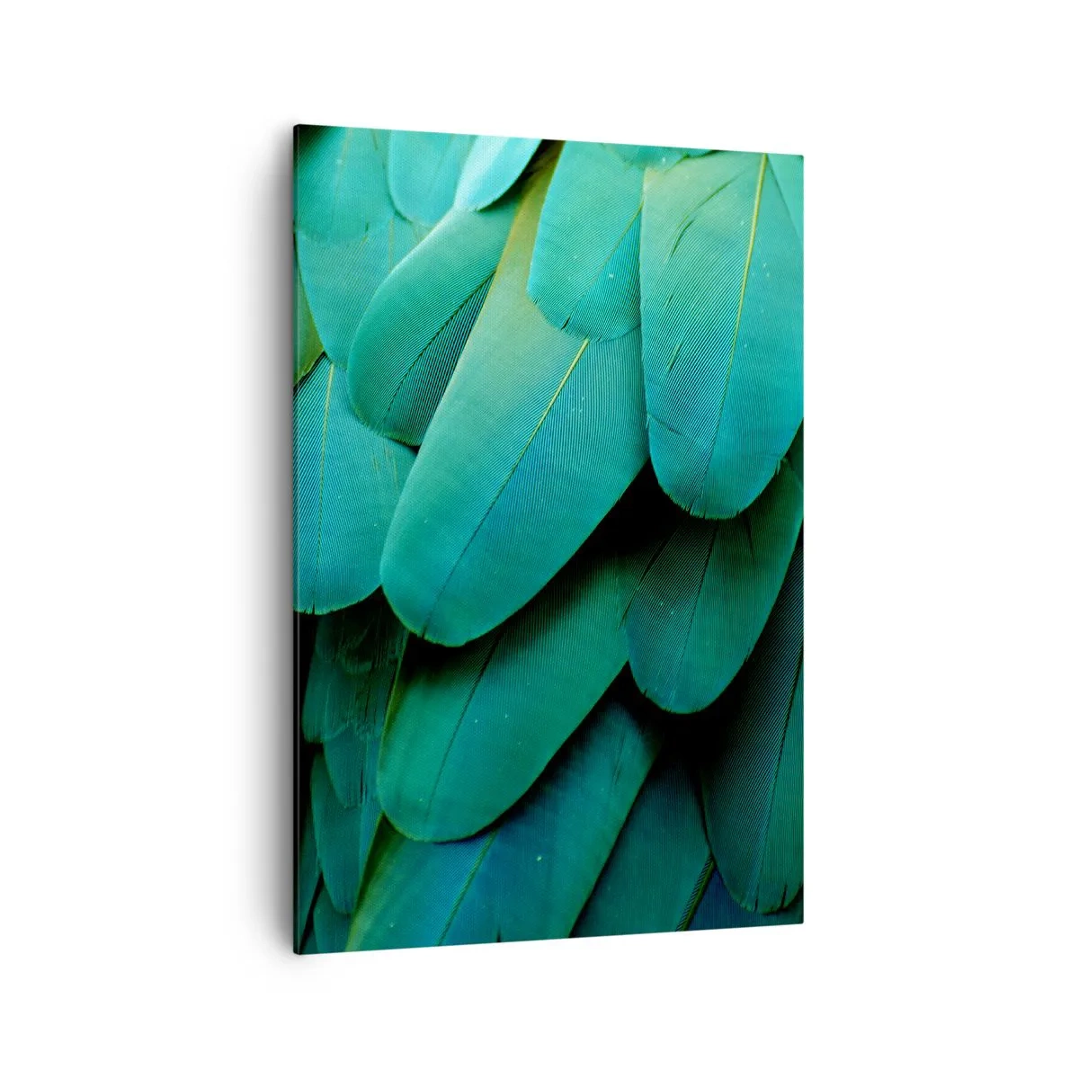 Schilderen op canvas - Papegaaiachtige precisie - 70x100 cm