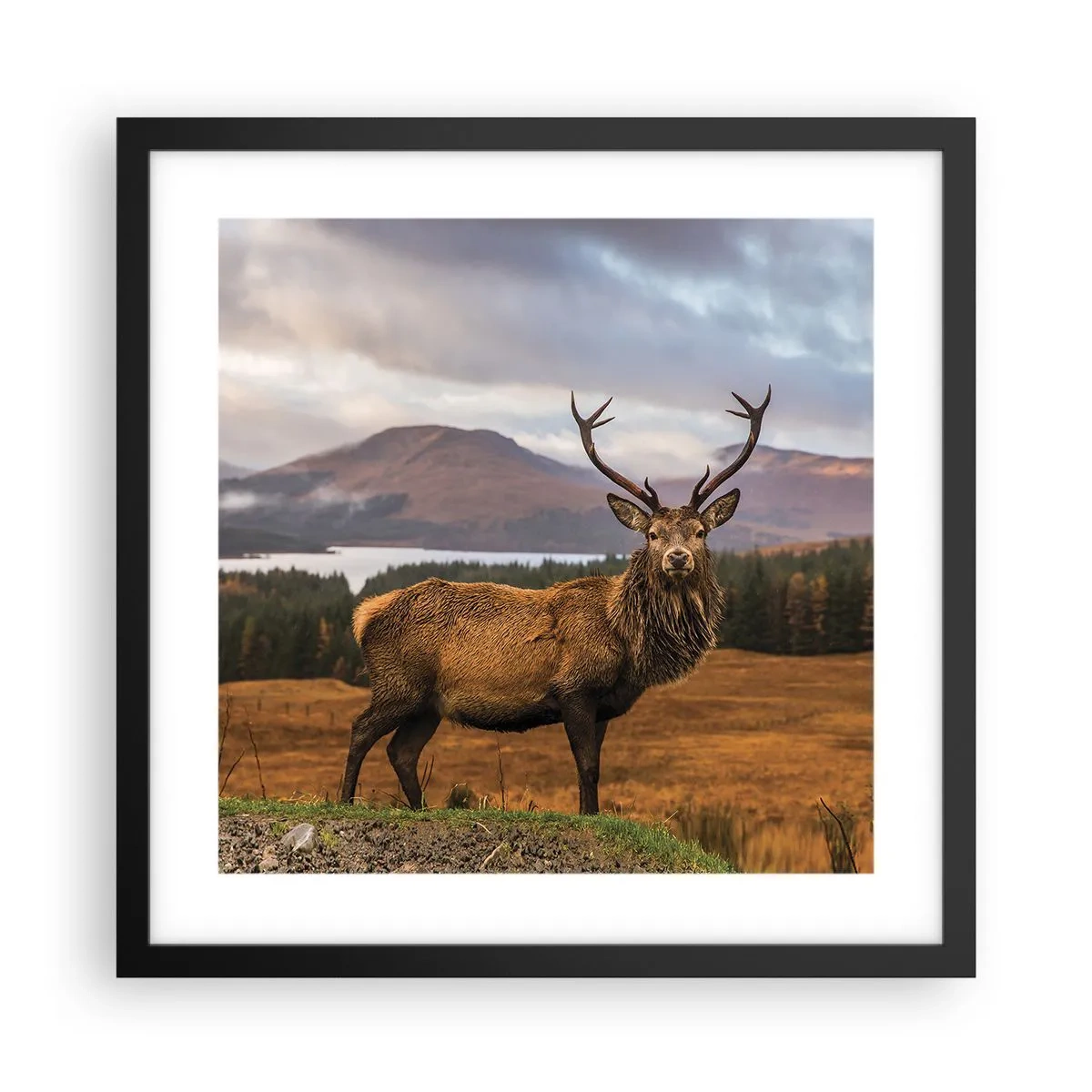 Poster in een zwarte lijst - De majesteit van de natuur - 40x40 cm