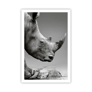 Poster - Onstuitbare kracht - 61x91 cm