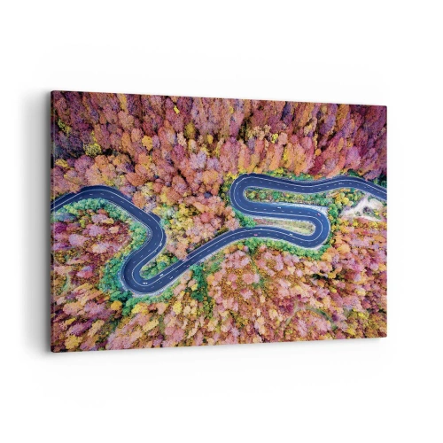 Schilderen op canvas - Een kronkelende weg door het bos - 100x70 cm