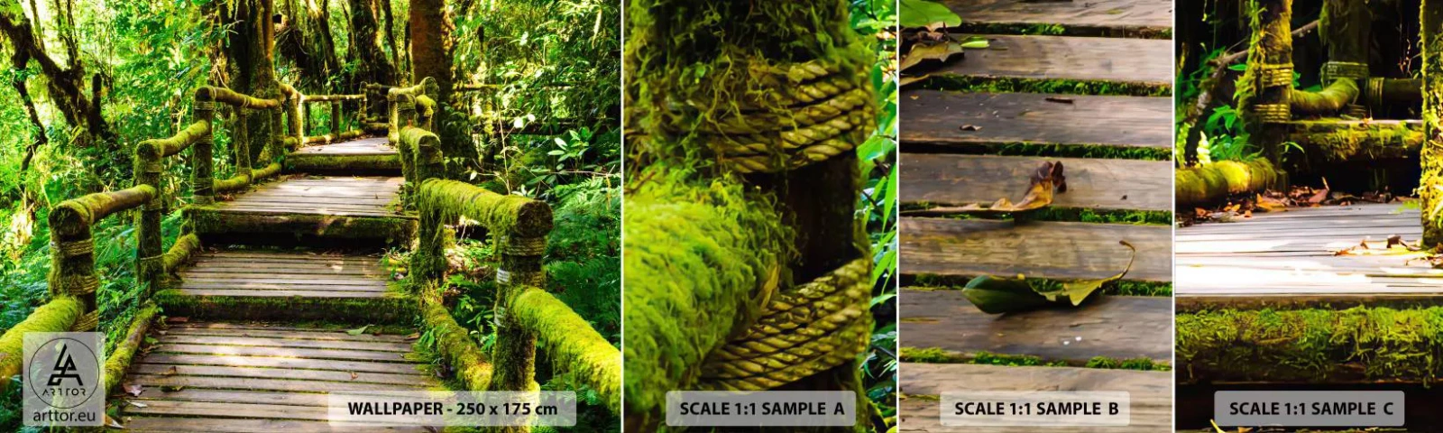 Fotobehang Staaltje Standard Eco - Door de gang van groen - Natuur, Landschap, Woud - 100x30 cm