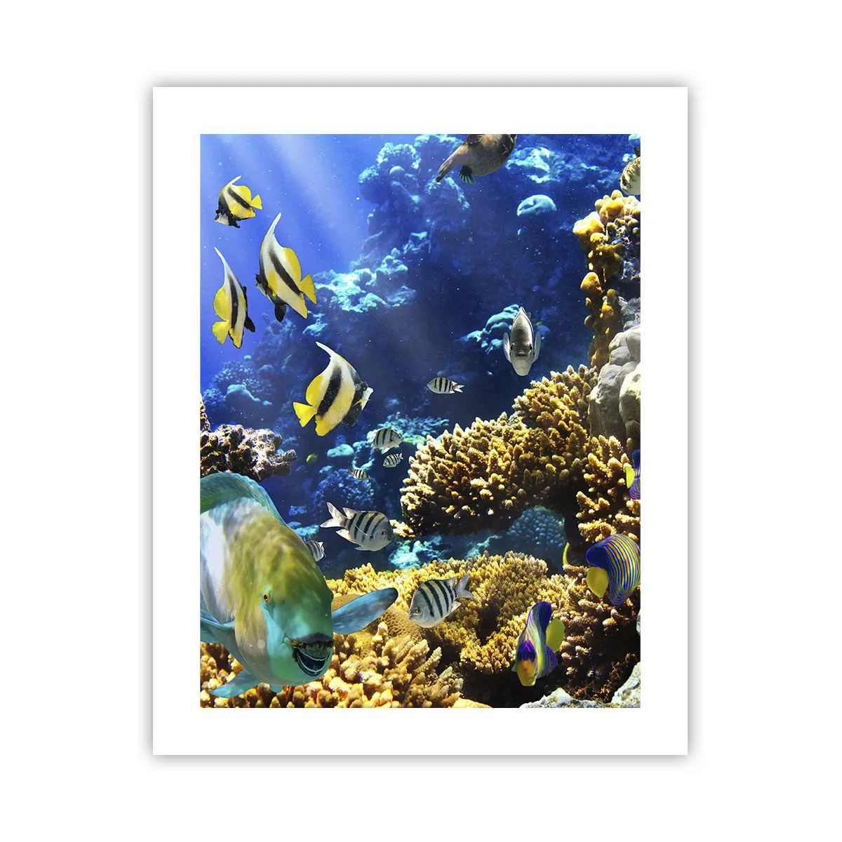 Poster - Veel verkeer op de vakantieroute - 40x50 cm