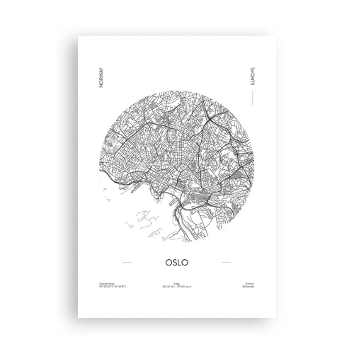 Poster - Anatomie van Oslo - 70x100 cm