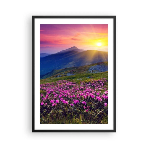 Poster in een zwarte lijst - Bergpanorama met bloeiende rododendrons en zonsondergang - 50x70cm - … En eromheen ruikt het naar bergdennen en de geur van kruiden - Moderne wanddecoratie voor woonkamer en slaapkamer ARTTOR