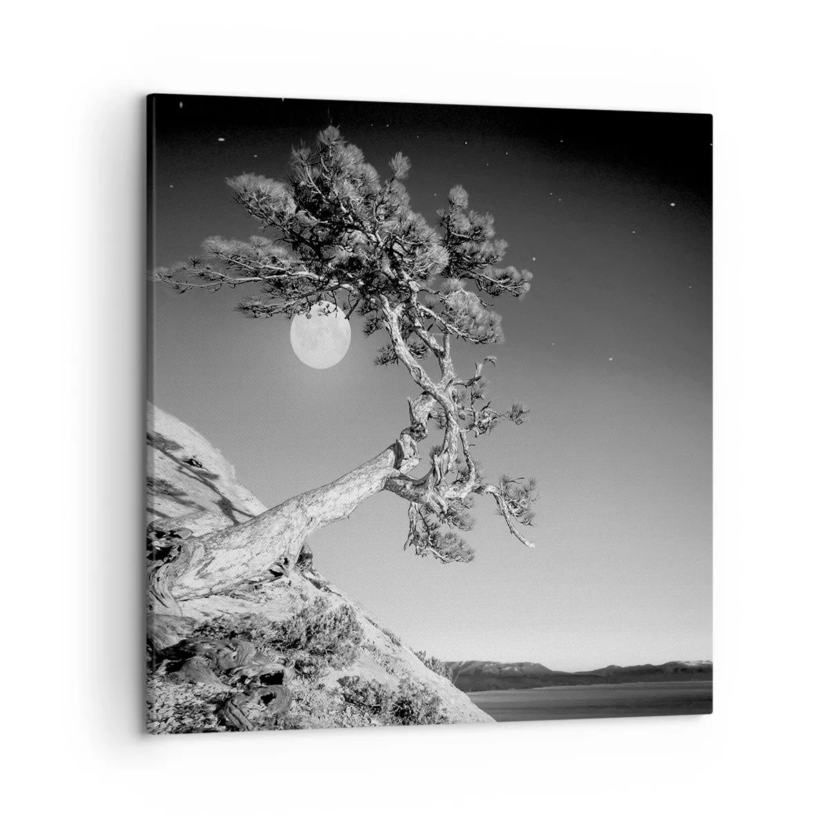 Schilderen op canvas - Een zegevierende jager - 50x50 cm