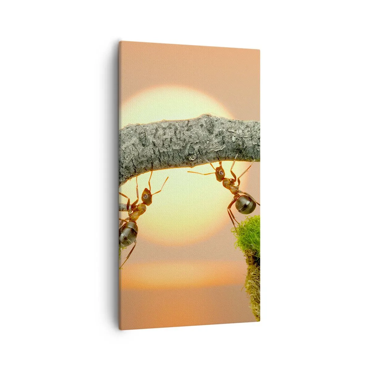 Schilderen op canvas - Gelukkig samenwerken - 55x100 cm