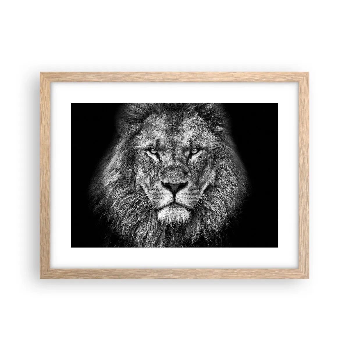 Een poster in een licht eiken lijst - In een kroningskleed - 40x30 cm