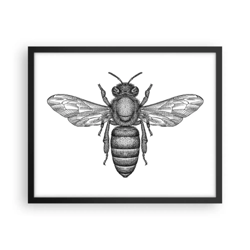 Poster in een zwarte lijst - Insectenportret - 50x40 cm