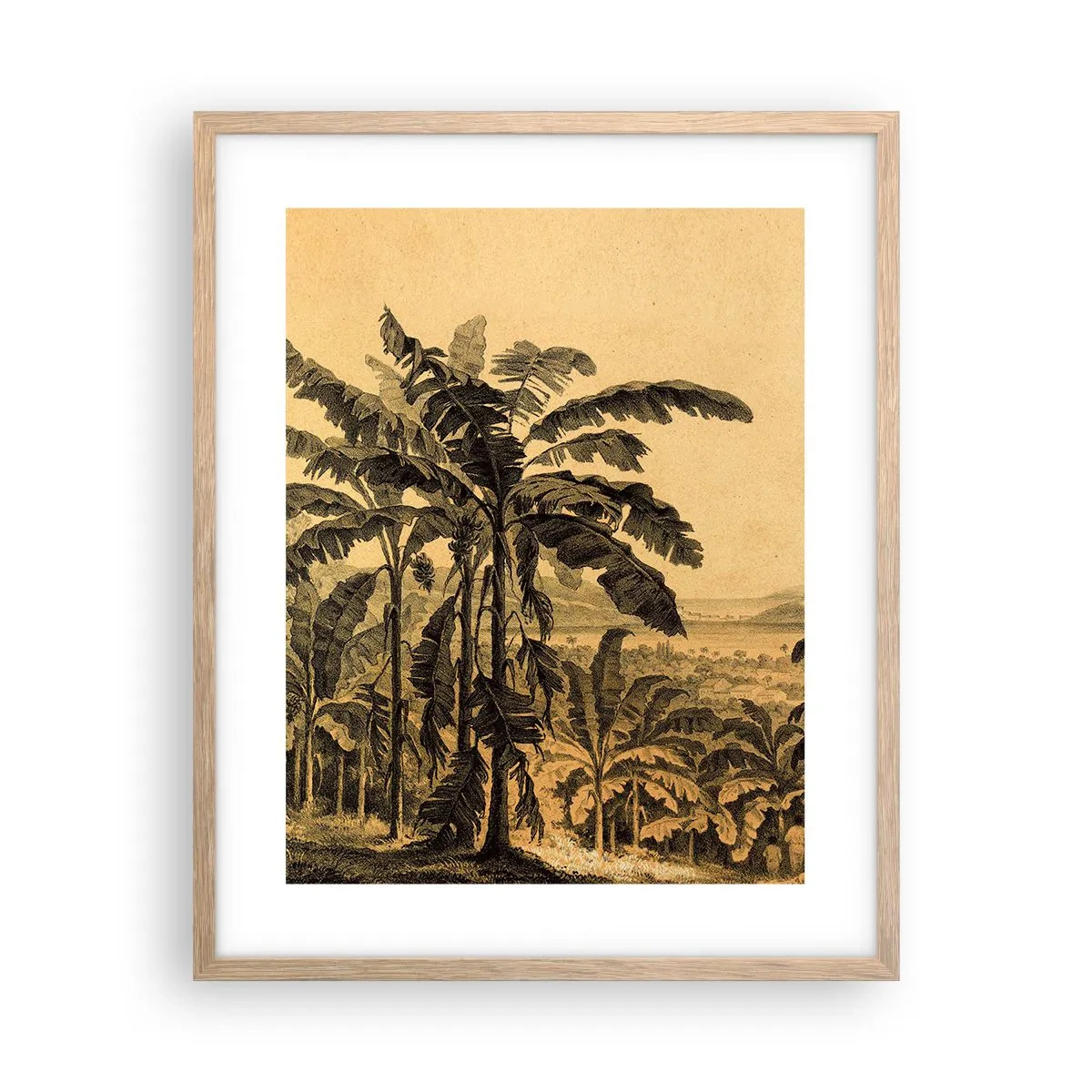 Een poster in een licht eiken lijst - in een koloniaal klimaat - 40x50 cm