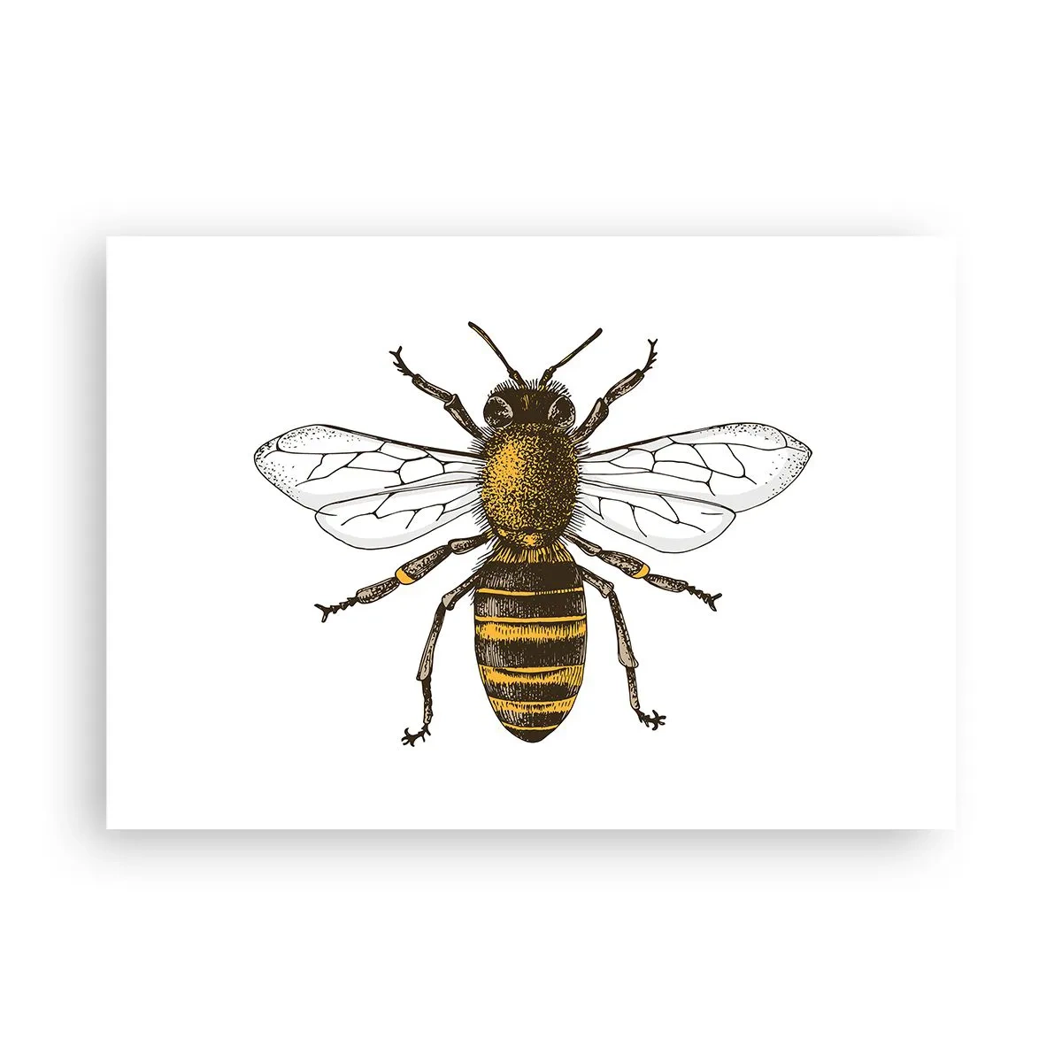 Poster - Mooi en goed - 100x70 cm