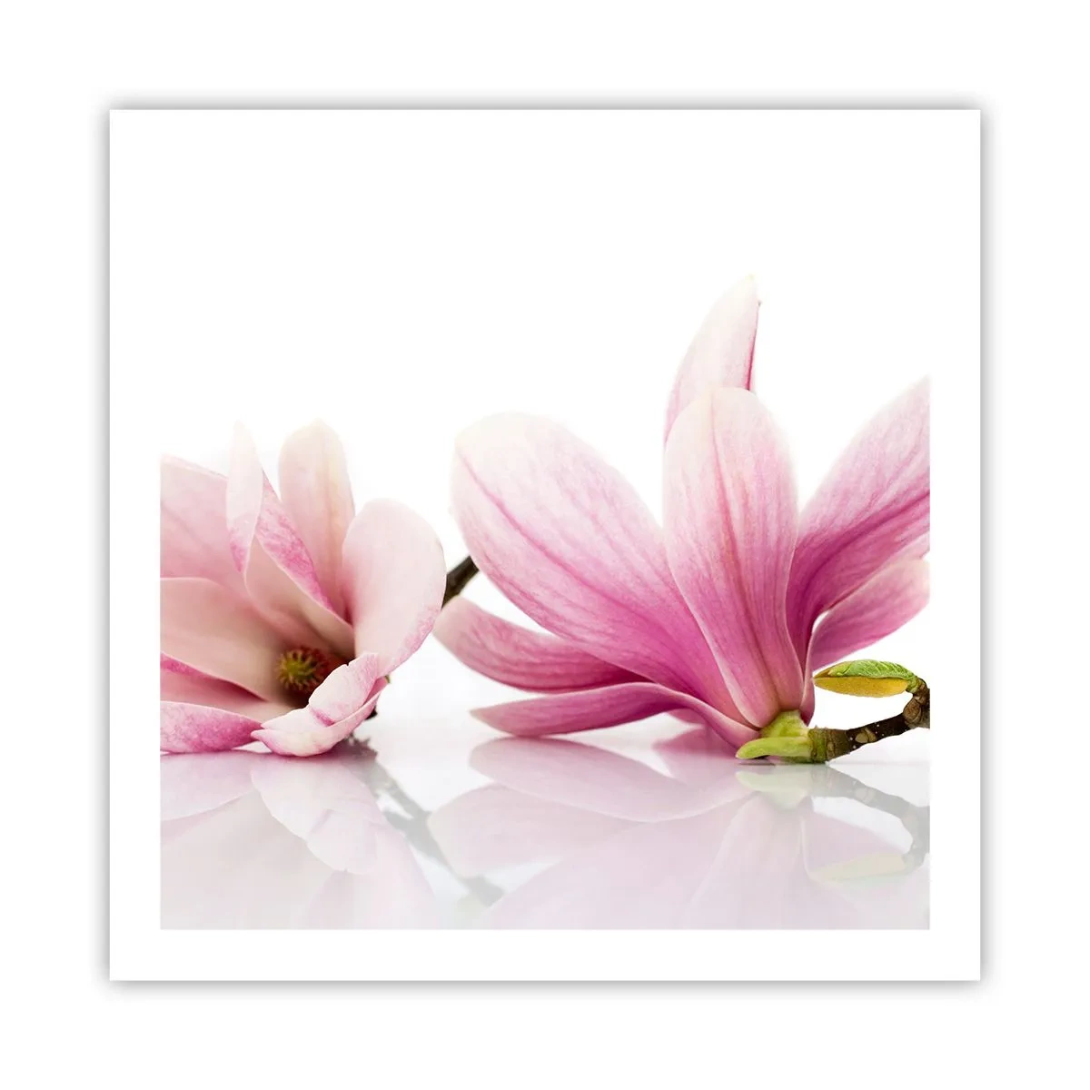Poster - Delicaat als een lentebriesje - 60x60 cm