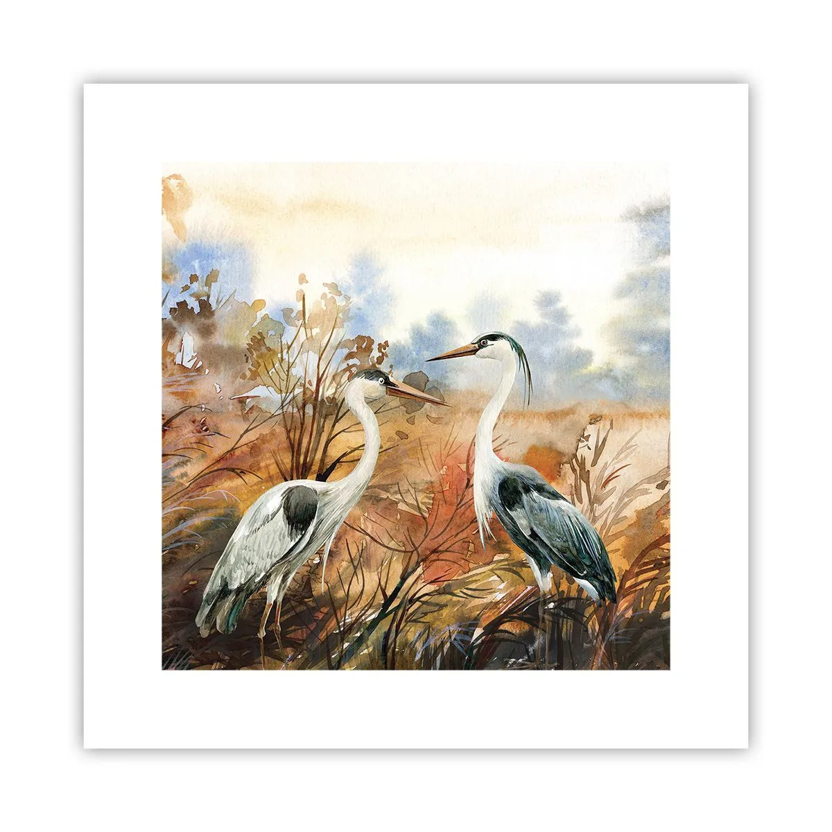 Poster - Waarheen in de herfst? - 30x30 cm